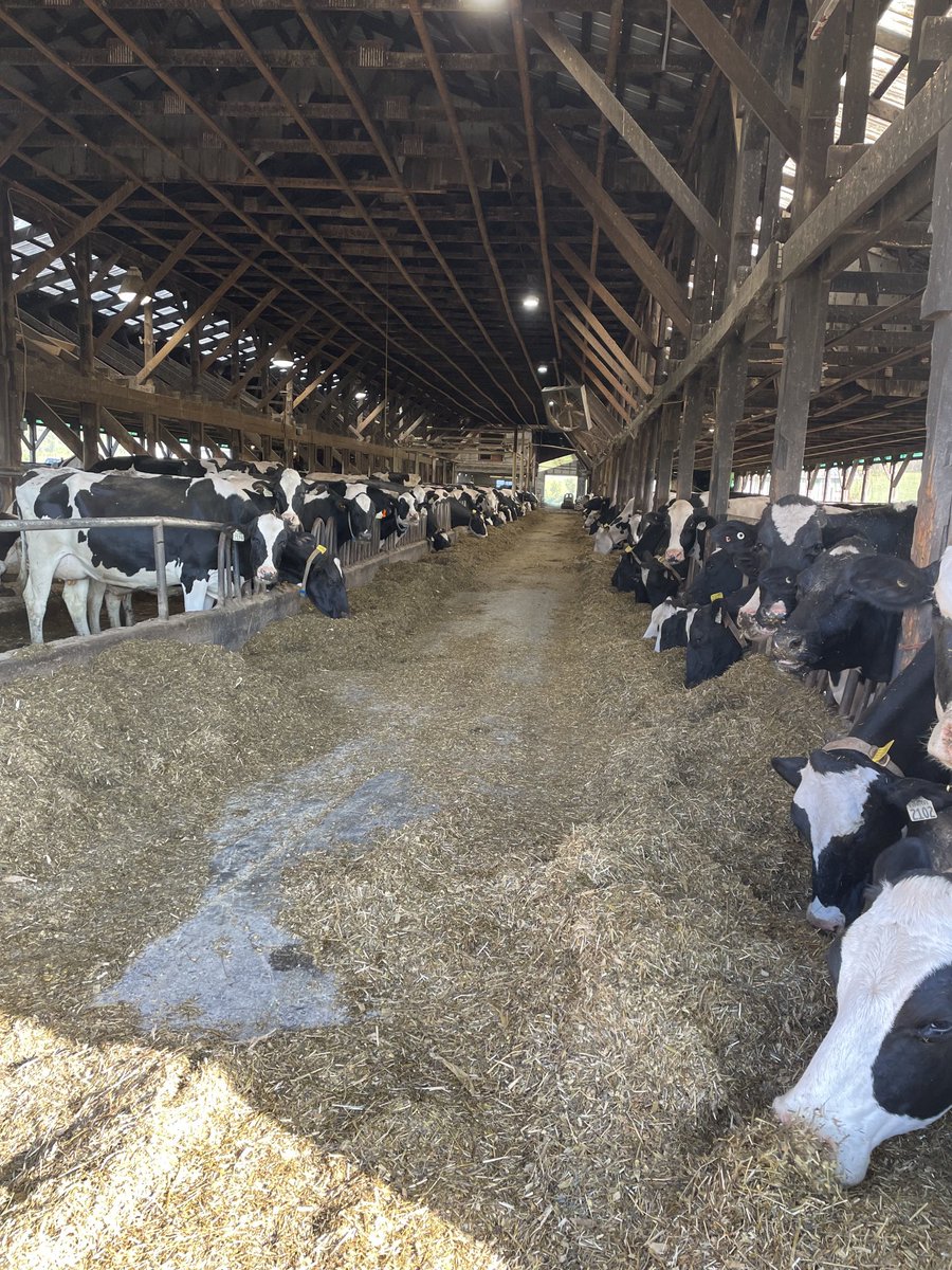 Just want everyone comments ,lowering our carbon footprint will cost go up , will production go down ? If that happens how do we feed the growing population? Or is it ok to buy food from counties that don’t care about there emissions as long as they can’t see what’s going on ?