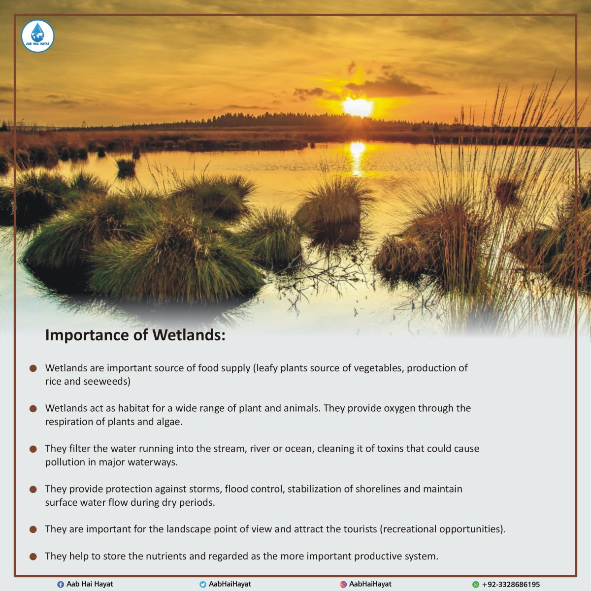 AabHaiHayat's tweet photo. Importance of Wetlands
#AabHaiHayat #BHSP #SaveWaterSaveLifes
@MusadaqZ @WWF @DrAmjadsaqib1 @Akhuwat https://t.co/VSnufLxJEk