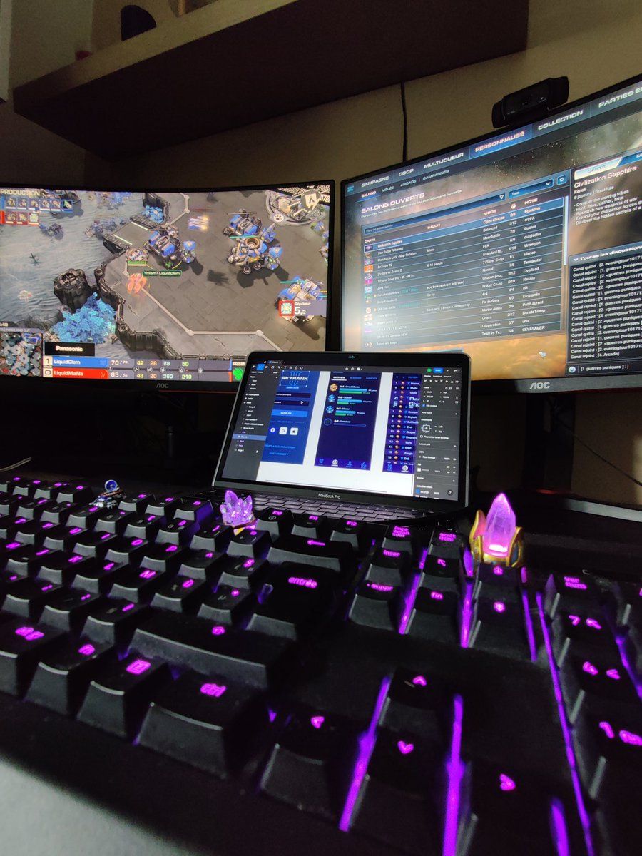 Skylash__'s tweet photo. On matte le stream en TT
@KokaStarcraft @FunKaStarcraft 
#sc2 https://t.co/YnWvmPzJvs