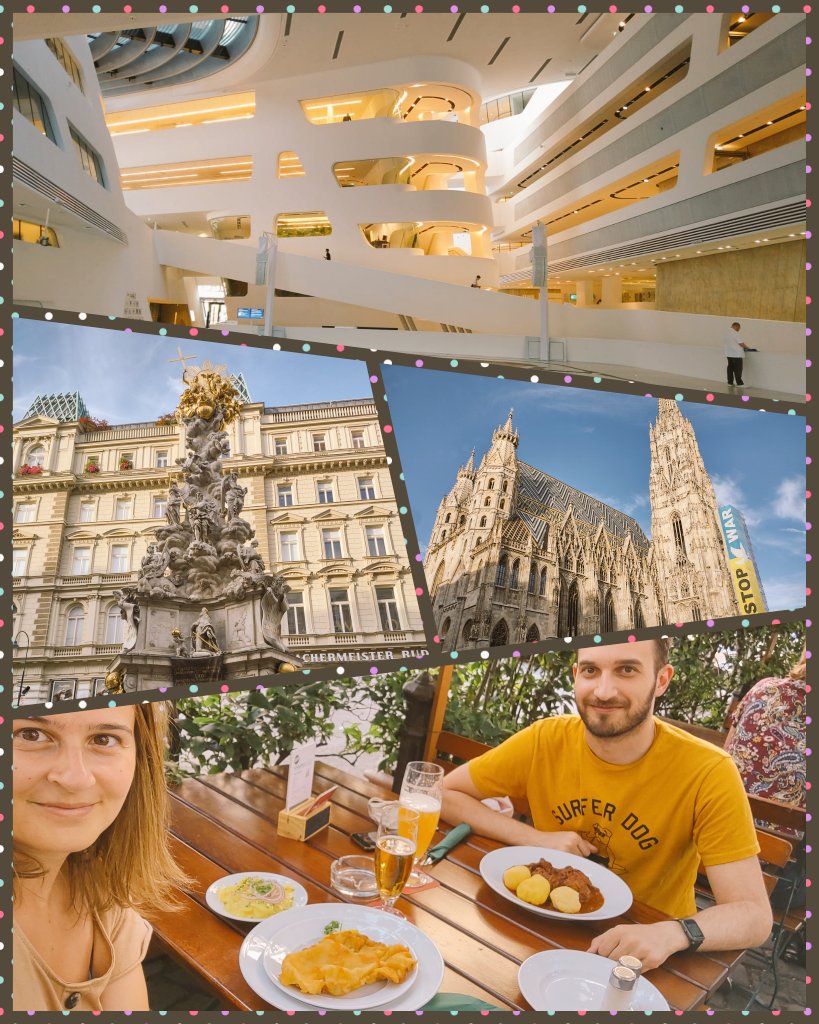 Chiara Spaccasassi tweet media