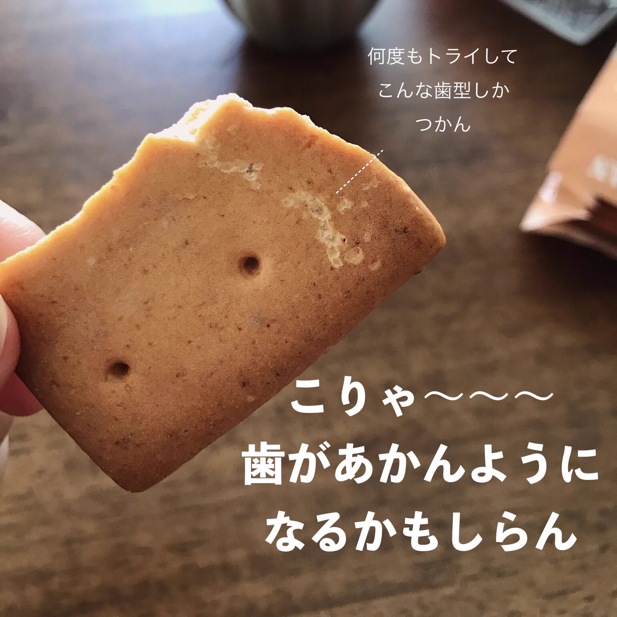 え、これ前歯折れるんじゃない？硬すぎる「くろがね堅パン」。
