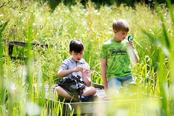 scienceoxford's tweet photo. After a hot week, read about our woodland & #conservation projects with Dr Roger Baker
π https://t.co/O4IySzc9o5
π¦ #GetOutForTheCount
π π#OperationEarth
#nature #biodiversity #orchids #AshDieback #ponddipping #UKheatwave @OxConservation @sciencecentres @savebutterflies https://t.co/HXrRVzRbtt