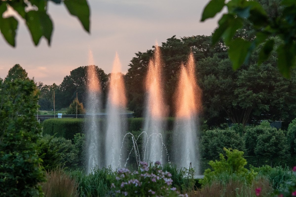 Is it #FountainFriday? Well, it is now!

#HappyFriday #friyay