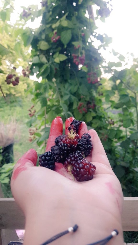 aysegulce44's tweet photo. Bur avuç mutluluk🥰💙

#Malatya https://t.co/obow1pR8j5
