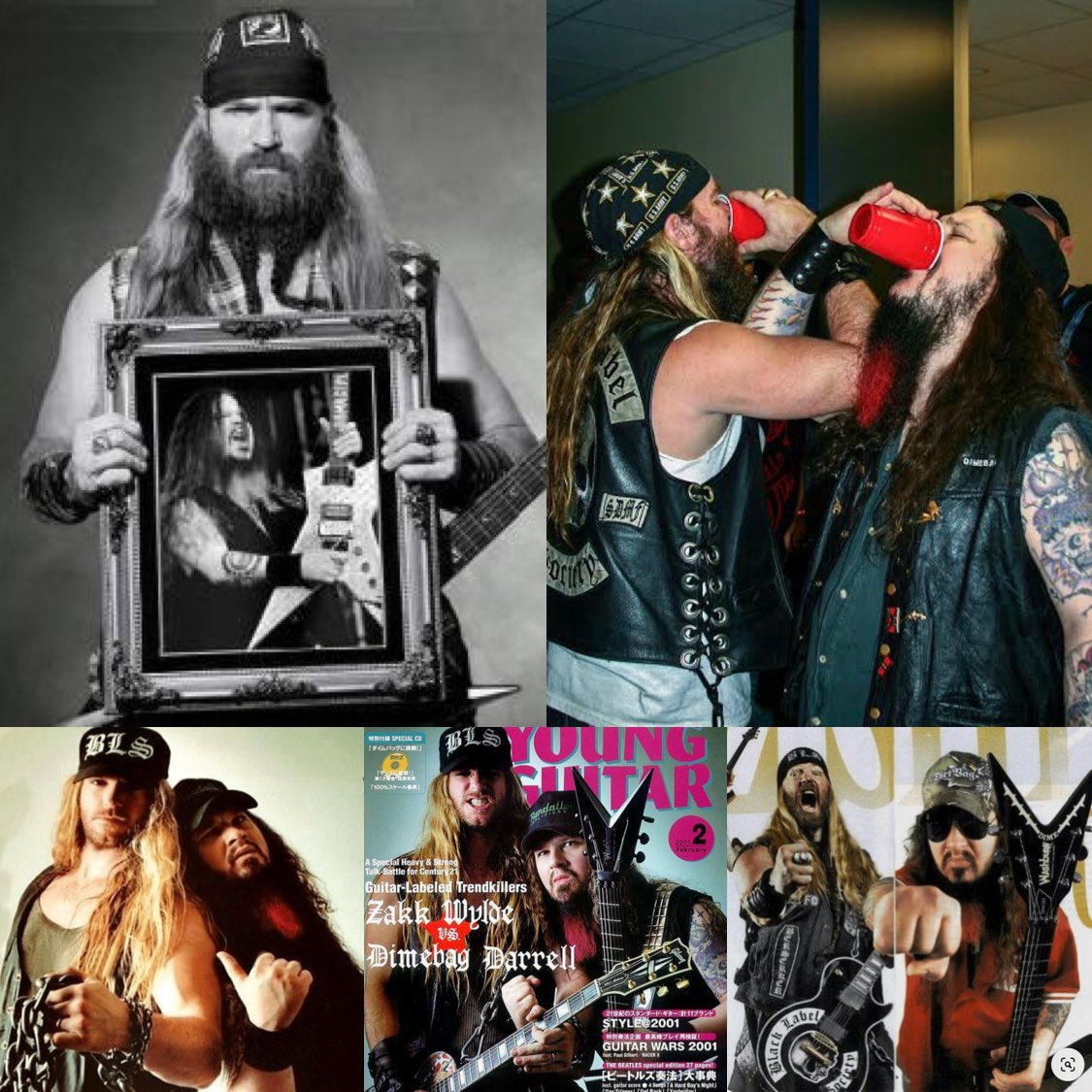 独特な店 Hero Guitar 現状品 ダイムバッグ Hwt 1535 ダレル その他 Gramon Com Py 独特な店 Hero Guitar 現状品 ダイムバッグ Hwt 1535 ダレル その他 Gramon Com Py