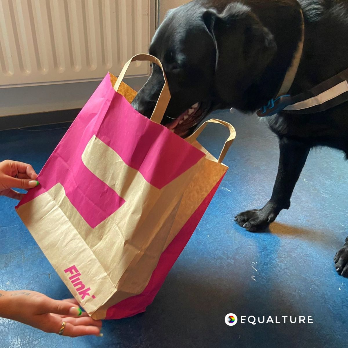 Our fluffy Chief Cuddle Officer Sep is all about the innovative hiring process of our customer Flink &amp; their dedication to ensuring equal opportunities in hiring by using game-based assessments! 🥰