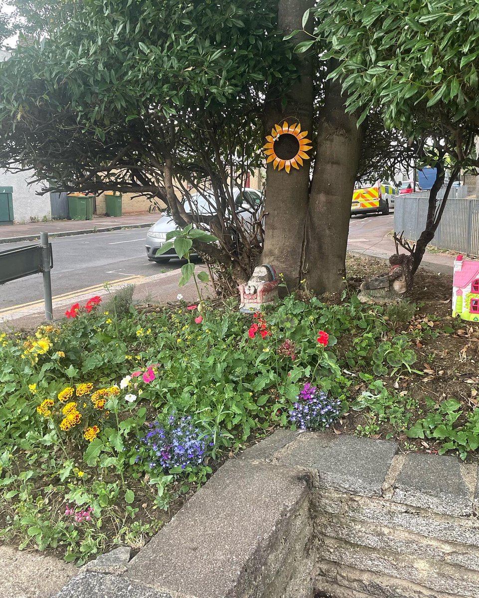 Fabulous sunflowers 🌻 in the Odessa Road planters. Plus the brilliant flower bed transformed by residents from a collection point for street drinkers’ rubbish!