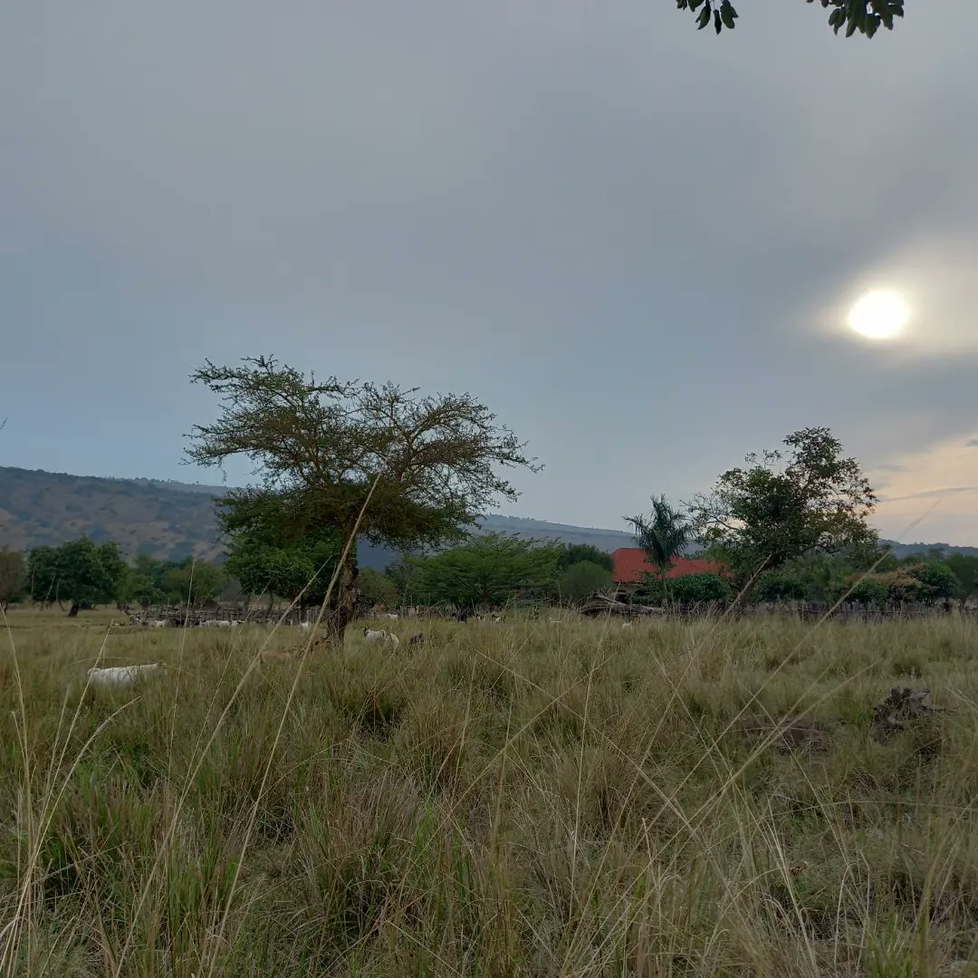 SkvFarm's tweet image. Farming is patience