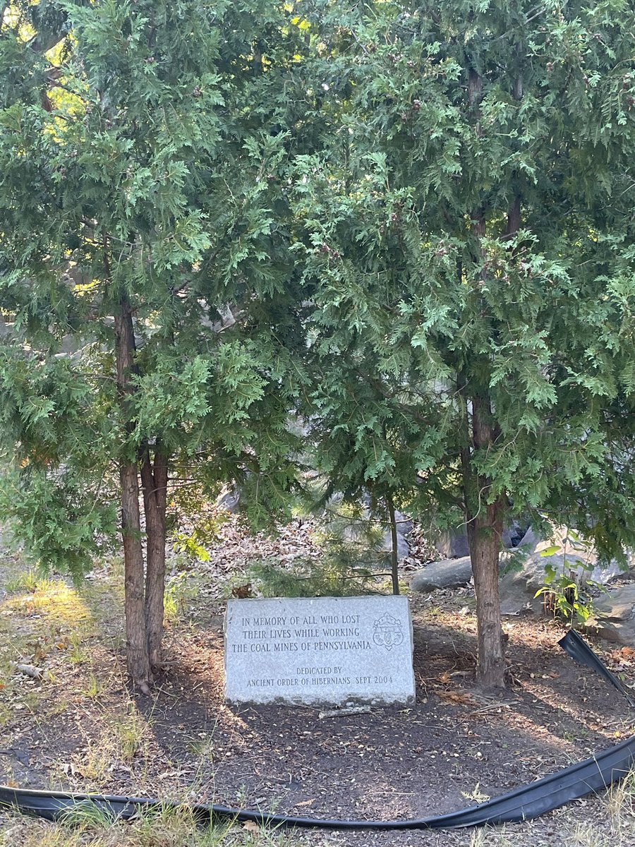 Social Scranton tweet media