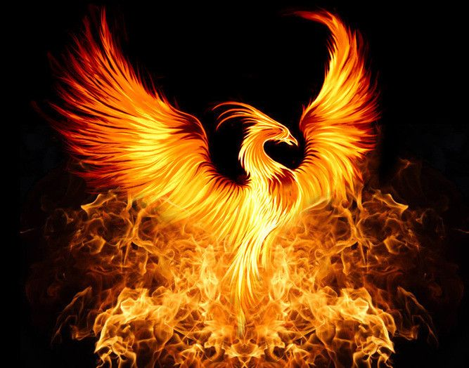 JPeveze's tweet photo. 🎁 FREE #NFTGiveaways 🎁

 ♨ ♨🔥  Like a Phoenix  🔥♨ ♨
 
🦅Follow Me @JPeveze
🦅Like &amp; Retweet
🦅Drop your #ETH wallet address
🦅Make a post showing your prize

#Phoenix #Reborn #NFTArts #NFTGiveaways #NFTdrop #NFTCollection #NFTs #1Winner https://t.co/TS72Hg3uv1
