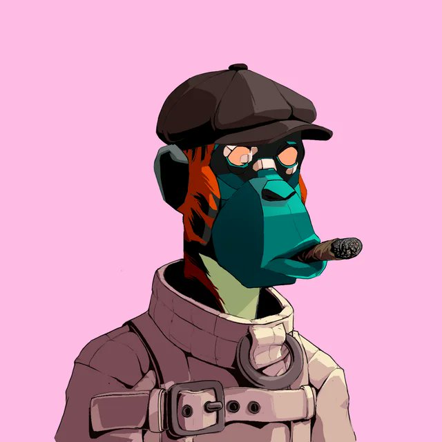 zebraman504's tweet photo. #JNGL #SOL Again for @Primatesnft  who need to follow @Primatesnft . You can tweet here and i will follow you all. THANKS LFG https://t.co/1xLTqo45qZ