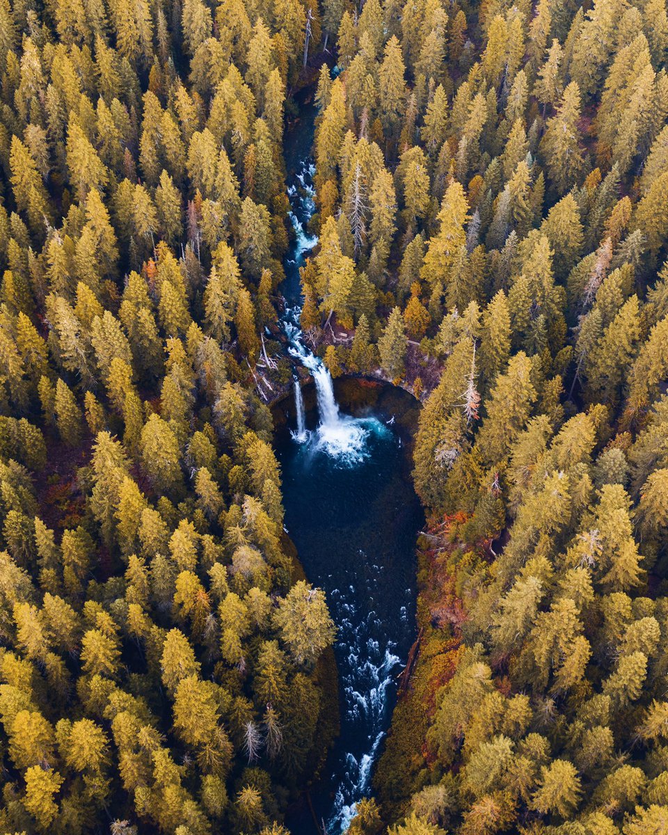 CharliΞ tweet media