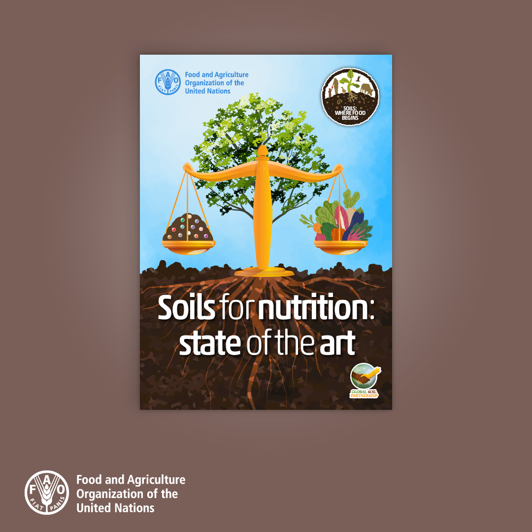 95% of the food we eat wouldn't exist without soils. And more than 90% of the benefits of soils have yet to be discovered. Here's how to nurture and harness this bounty 👉 doi.org/10.4060/cc0900… #Soils4Nutrition