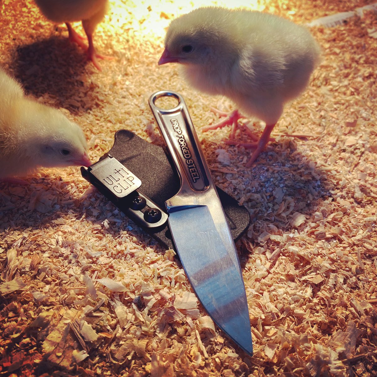ULTICLIP's tweet photo. Carry with Ulticlip- chicks dig ‘em! https://t.co/0TffcRs7pD