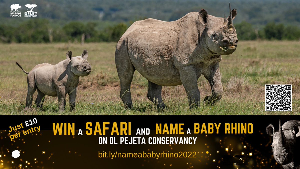 HelpingRhinos's tweet photo. GLOBAL GALA FOR RHINOS: 🎉Prize Draw🎉
Enter our prize draw & for just £10 stand the chance to NAME A BABY RHINO & win a three-night #LuxurySafari for two on @OlPejeta to see them in the wild! 🙌
Enter now ➡️ https://t.co/nWTvAqx0Db
#WinASafari #NameABabyRhino #Conservation https://t.co/qYcIGCEwEE