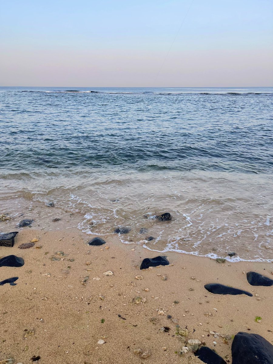 أحتمي خلف اللحظات الوديعة وأُلفة اللحظة وشعور الخفة.