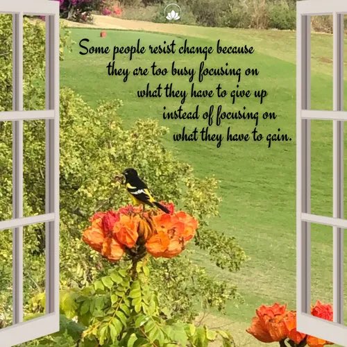 Is today the day to turn resistance into an action plan?  We can help.  POIibogaine.com  #addiction #recovery #powerofi