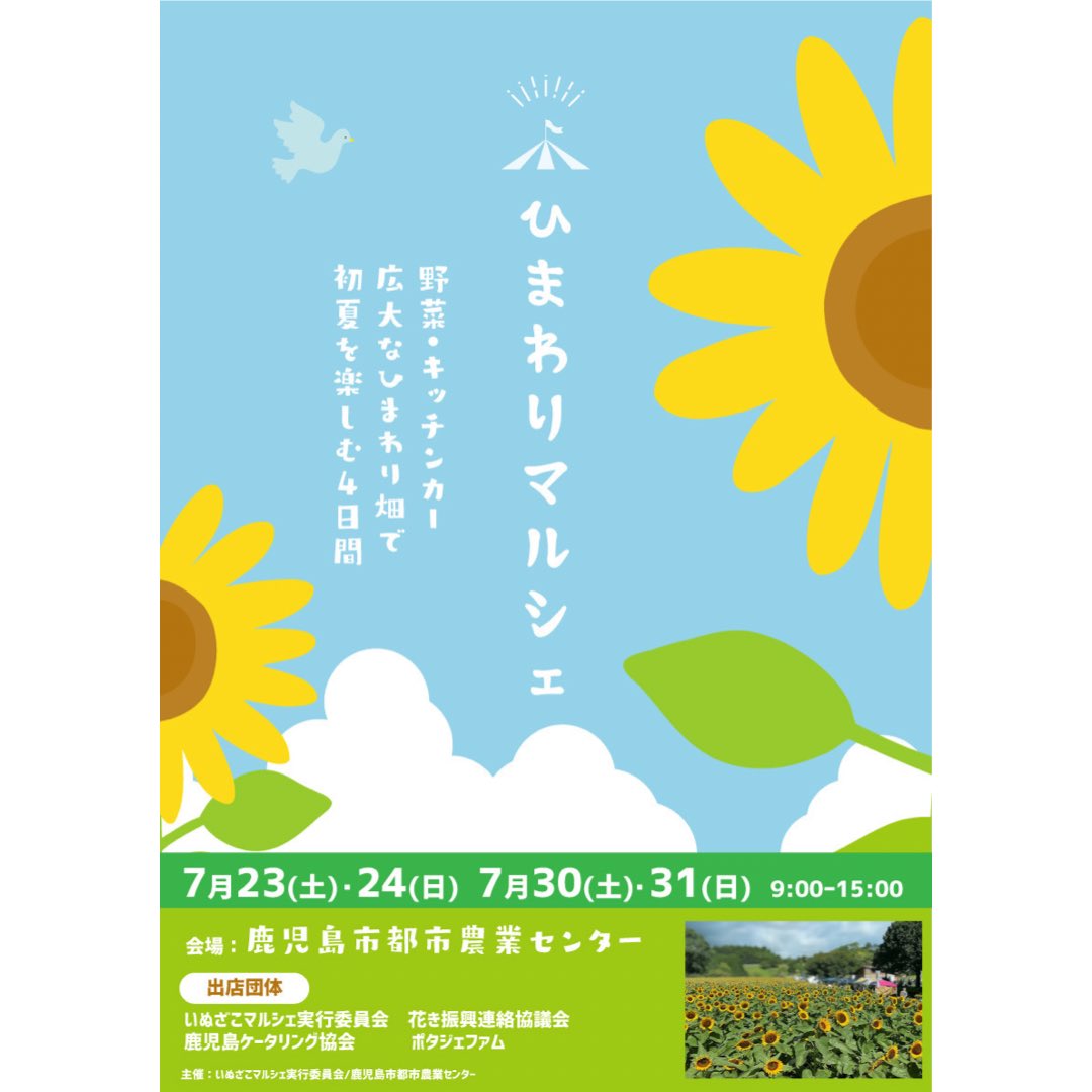 TabbyCoffee's tweet photo. 明日7/23(土)、明後日24(日)は鹿児島市都市農業センターで「ひまわりマルシェ🌻」開催します🌻
コロナ対策をしながら屋外での開催です。
ひまわりの開花は遅れていますが、皆様のご来場心よりお待ちしております！
天文館TabbyCoffeeは10:00〜18:00OPENです🐈
#tabbycoffee https://t.co/ZEpEUlJiXa