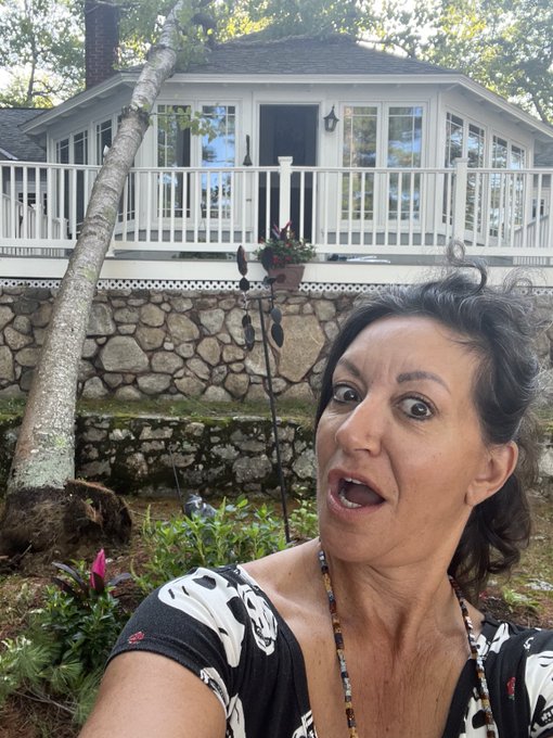 What a storm we had yesterday oh my God a tree fell on the house https://t.co/QbEZEMgwJF