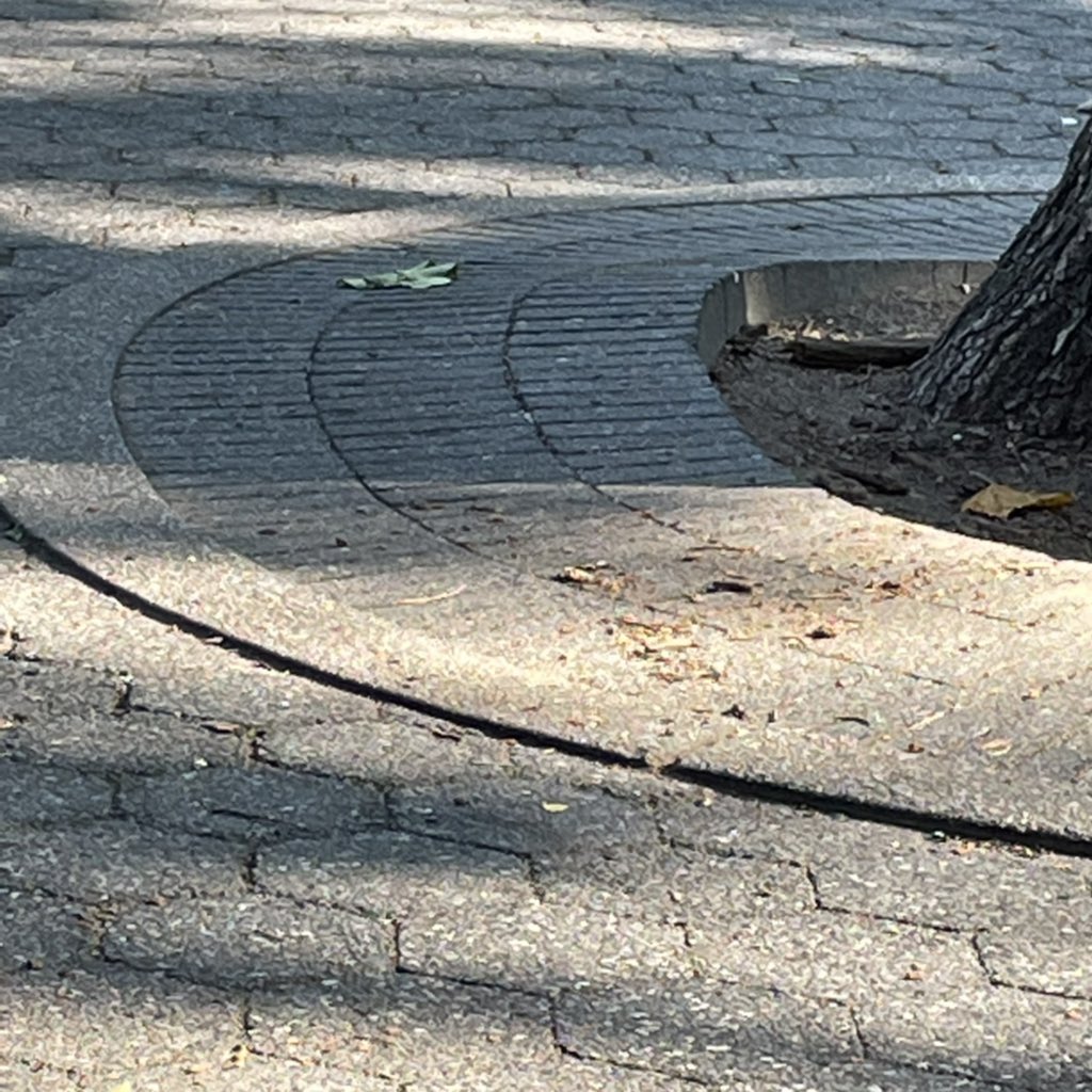 StudyNotes12's tweet image. good morning