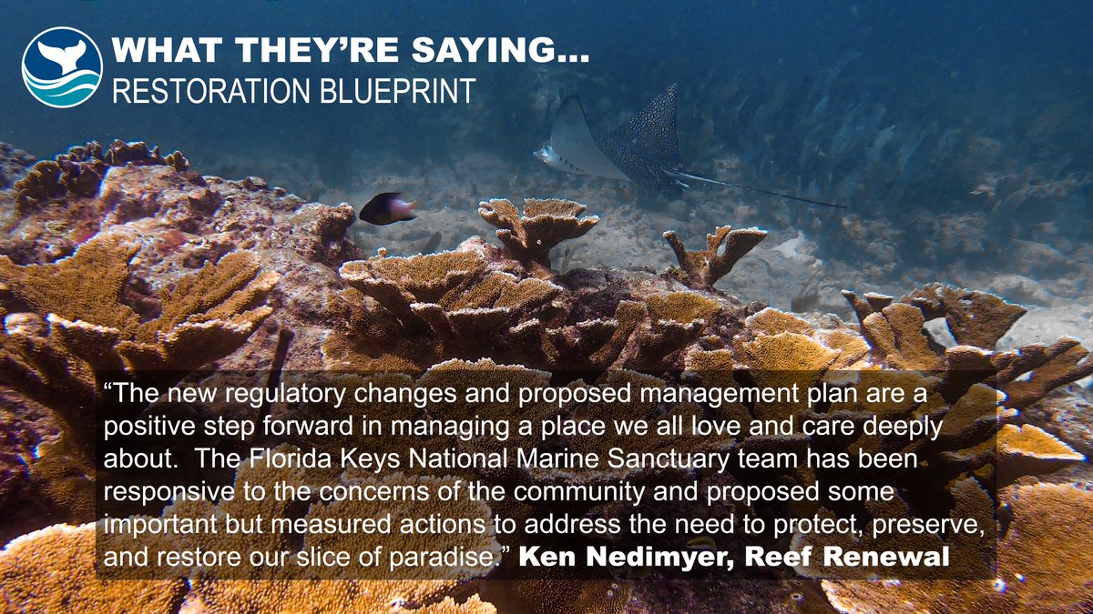 FloridaKeysNMS's tweet photo. https://t.co/o6RQM6R1ZO