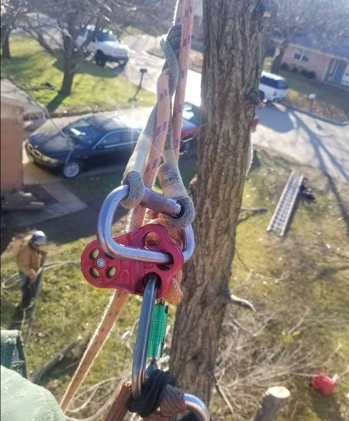 Follow her/his instagram for more post
#logger #logging #treecutting #arboristVia @arborist_fails