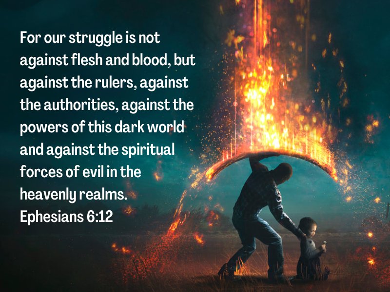 ULTRA MAGA ZG🍊🇺🇲⚡₿⚡ tweet media