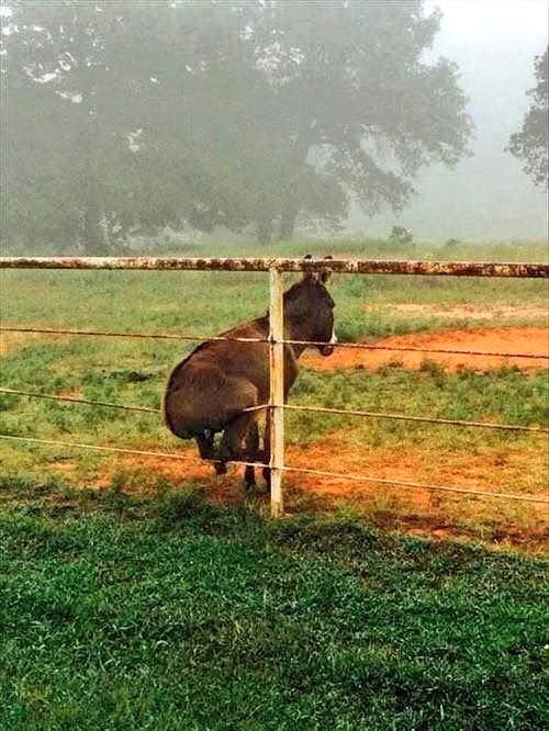 kitawny24's tweet photo. #WhyImOnTheFence
Because someone told me to park my ass right here https://t.co/oURa6Gl6PT