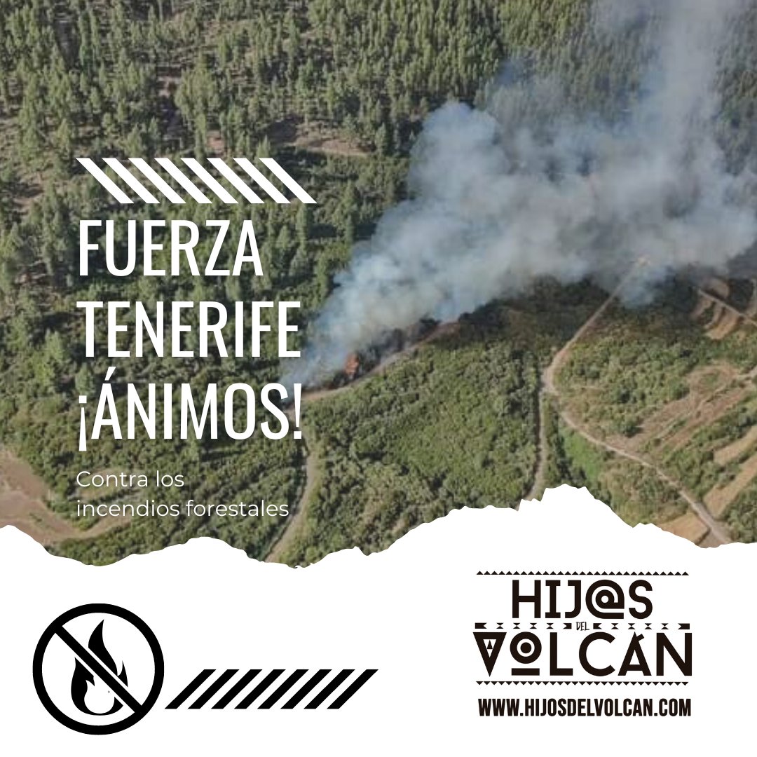 HijosDelVolcan's tweet photo. Fuerza y ¡Ánimos! Tenerife en la lucha contra el incendio forestal 🔥🌲

#Tenerife #incendiosforestales #Canarias https://t.co/wtVl439z9o