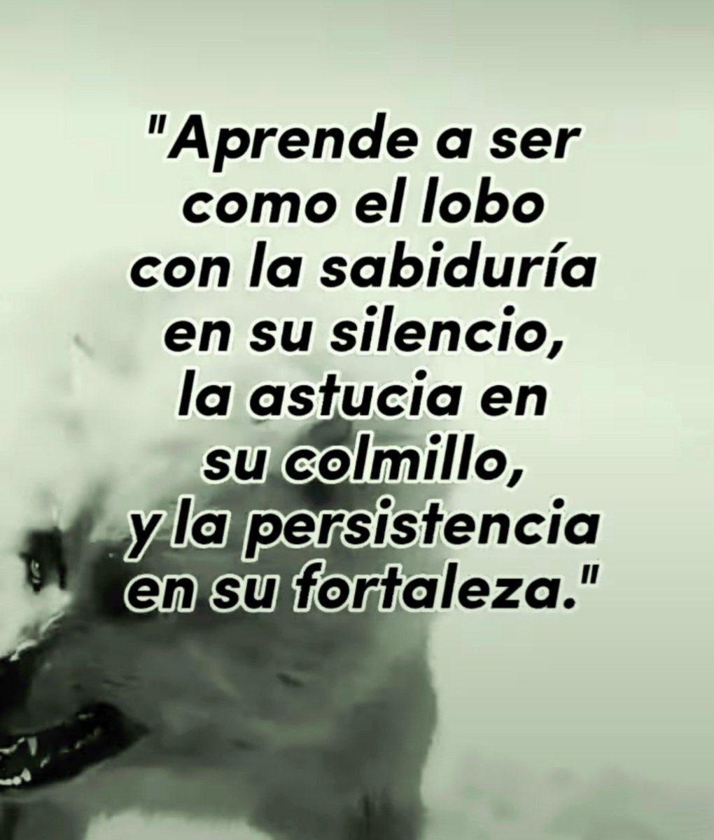 prezseg1's tweet photo. Así mismo...feliz viernes https://t.co/k8wavfy5cE