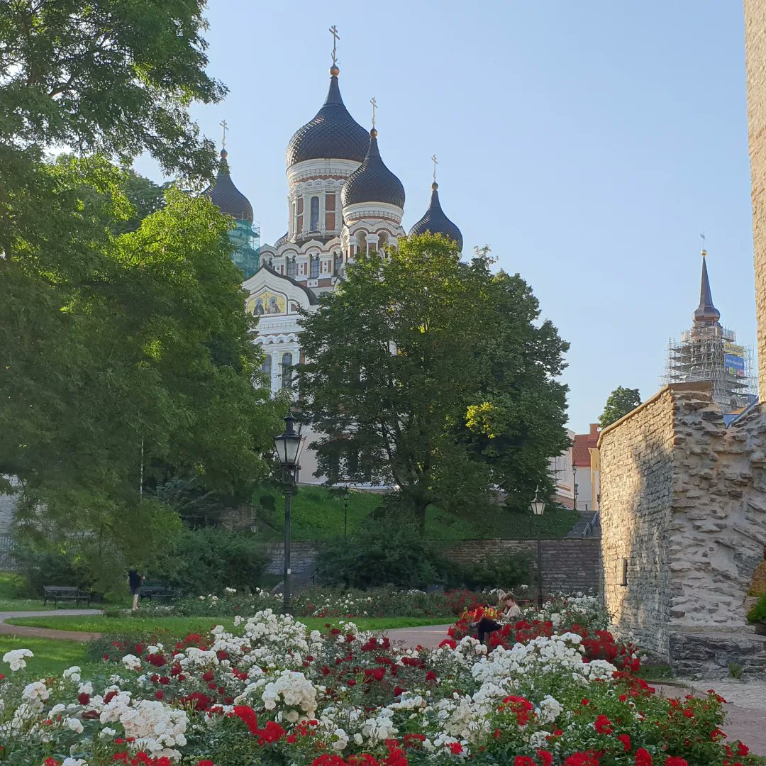 nov_anastasia's tweet image. Lovely and friendly Tallinn city; enjoying my short visit #Tallinn #estonia #balticcountry