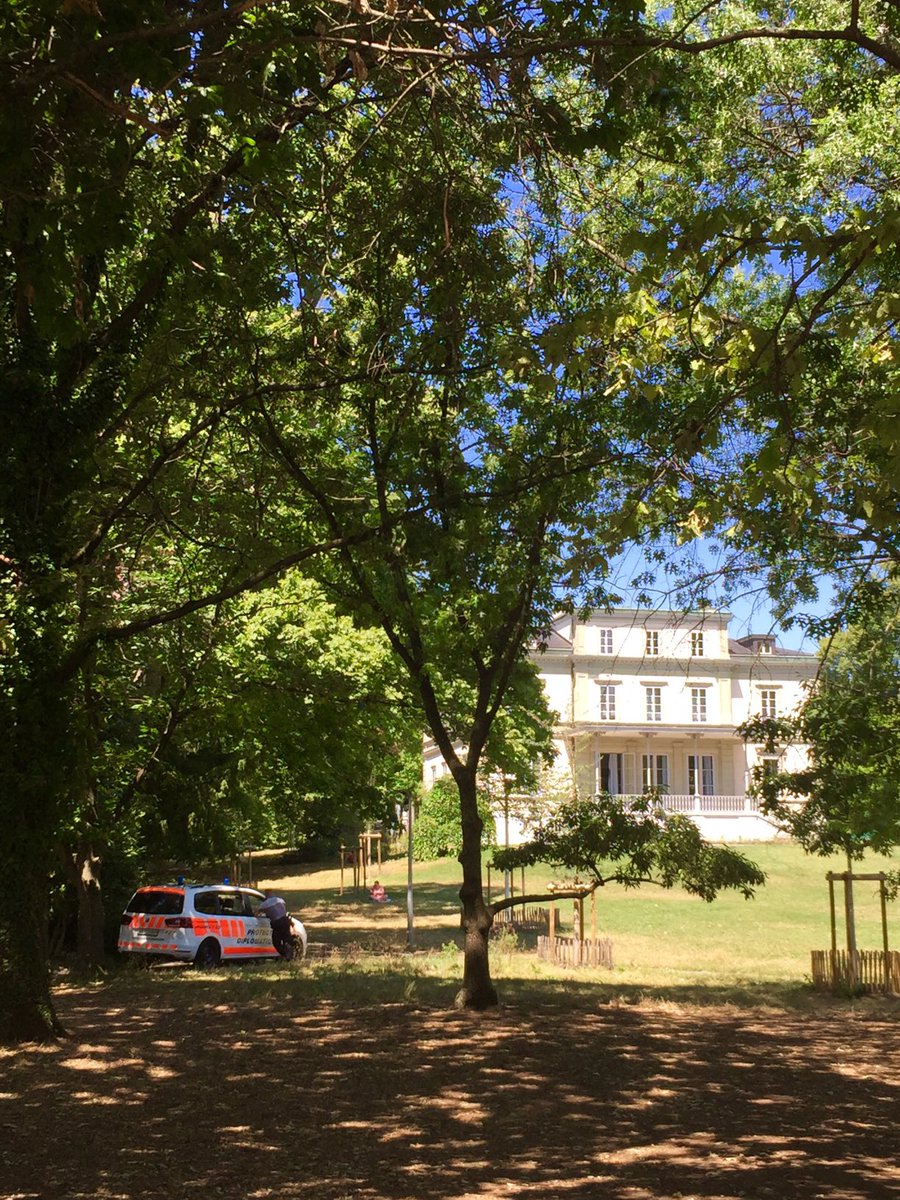 GmurHelen's tweet photo. Bei uns zu Hause in Genf. 🇨🇭#today #afterthatswim #PerleduLac #LacLemon #Police #shade #Palmtrees #heatwave #Genève #Suisse #Geneva #Switzerland #outsideisfree #swim #be happy https://t.co/QSPLZB7upR