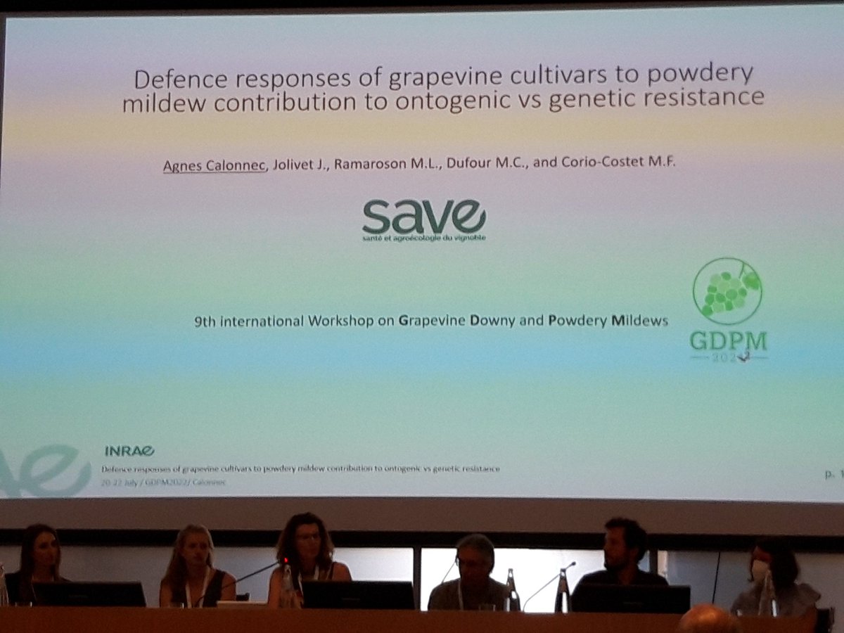 GianfRomanazzi's tweet photo. #GDPM2022 #AgnesCalonnec highlights #defence #responses of two #grapevine #cultivars to #powdery #mildew https://t.co/8D7JqOiFca