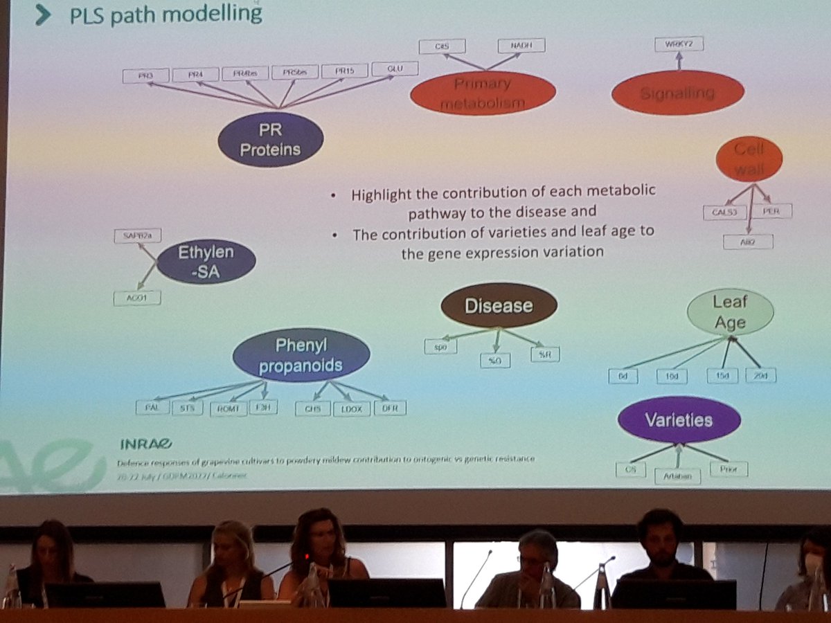 GianfRomanazzi's tweet photo. #GDPM2022 #AgnesCalonnec highlights #defence #responses of two #grapevine #cultivars to #powdery #mildew https://t.co/8D7JqOiFca