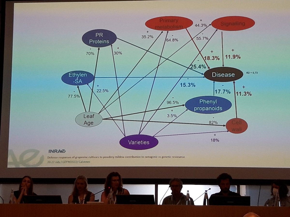 GianfRomanazzi's tweet photo. #GDPM2022 #AgnesCalonnec highlights #defence #responses of two #grapevine #cultivars to #powdery #mildew https://t.co/8D7JqOiFca