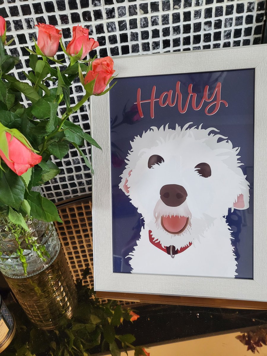 Jane Casson tweet media