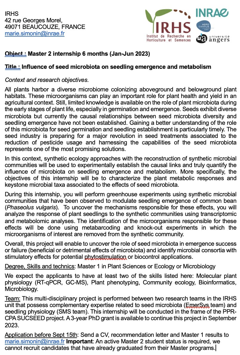 Marie Simonin tweet media