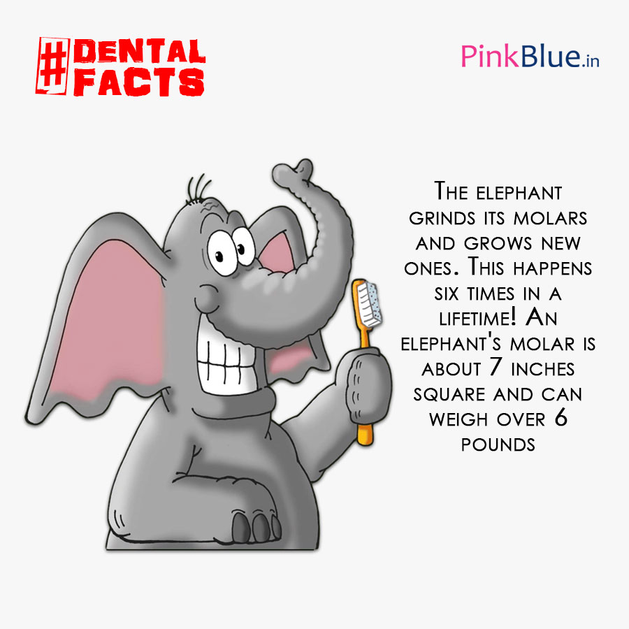 PinkBlue.In tweet media