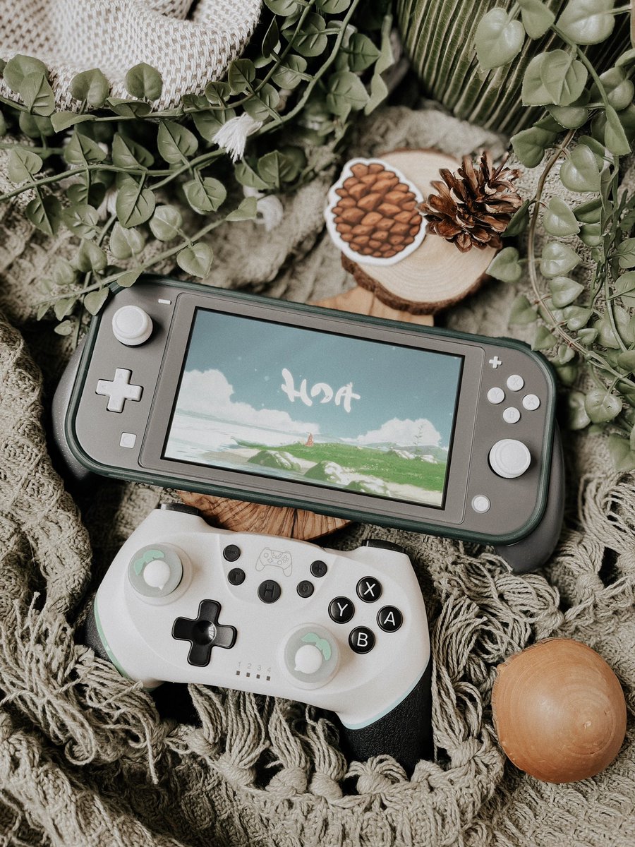 cozygamescorner's tweet photo. 🐞 Hoa 🐞

#indiegame #hoagame #NintendoSwitch https://t.co/FKQfblYIkY