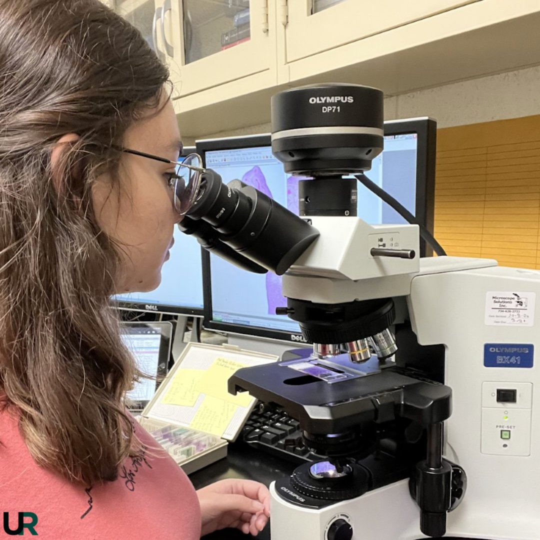 UR_at_MSU's tweet photo. Alana Gierbolini-Torres (from University of Puerto Rico) is presenting on the Morphological Assessment of Uterine Disease in Red Pandas for Mid-SURE. The results from the study will allow better management of the reproductive health and contraceptive uses of captive red pandas. https://t.co/hc0CPXSZTI