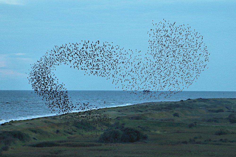 This week in The Monitors (Overthrowing the Empire One Grad Student at a Time), a conspiracy against the empire is engendered among the business associates of Adamantine Waldo Inc. #The_Monitors_scifi #SciFi #anthropology 
ow.ly/5EJo50JZZyo