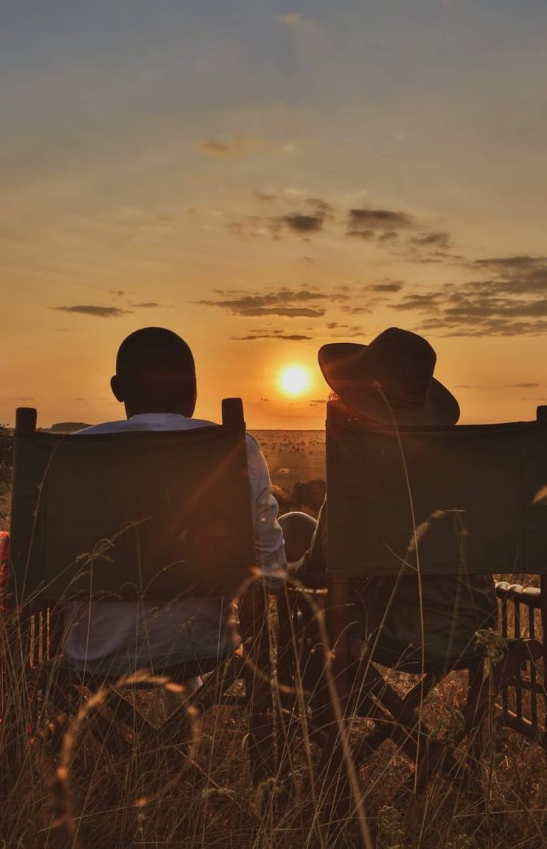 Tembea Kenya Pollmans tweet media