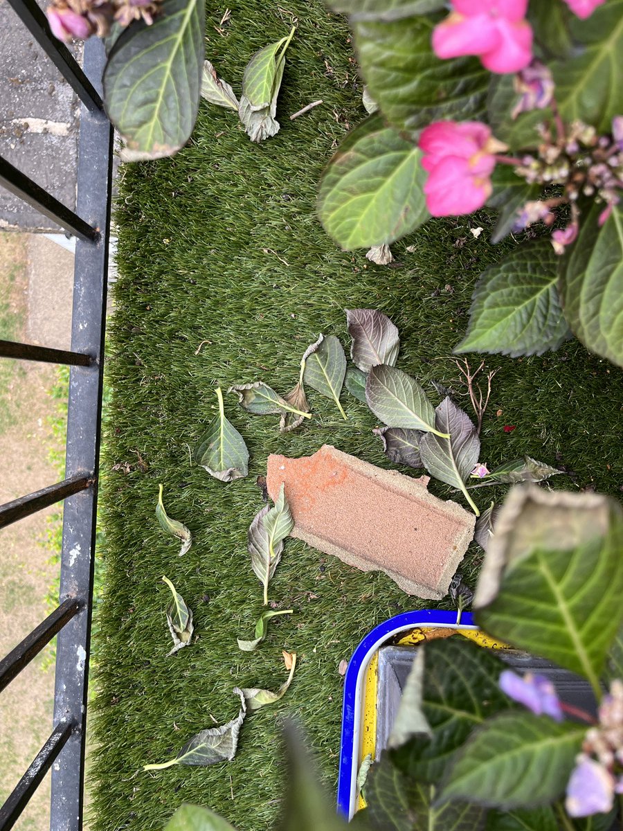Benest's tweet photo. Trying to get mgmnt co (#Tranhome) to address dangerous disrepair &amp; maintenance issues for months/years! Now we have exploding bricks! @Chestertons @SweetingStephen @LBRUT #SheengateMansions  #Property #Emergencyworks  #Landlordandtenantact https://t.co/cavENaoE64