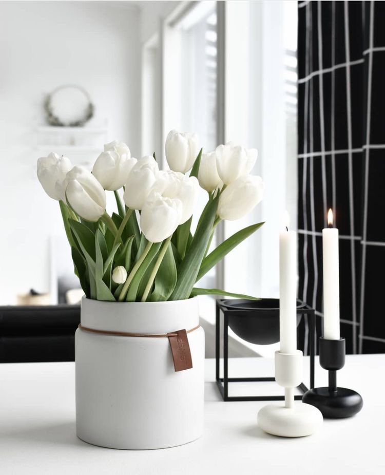 liviuuh's tweet photo. white tulips <3 https://t.co/D0Ocd7LaeI