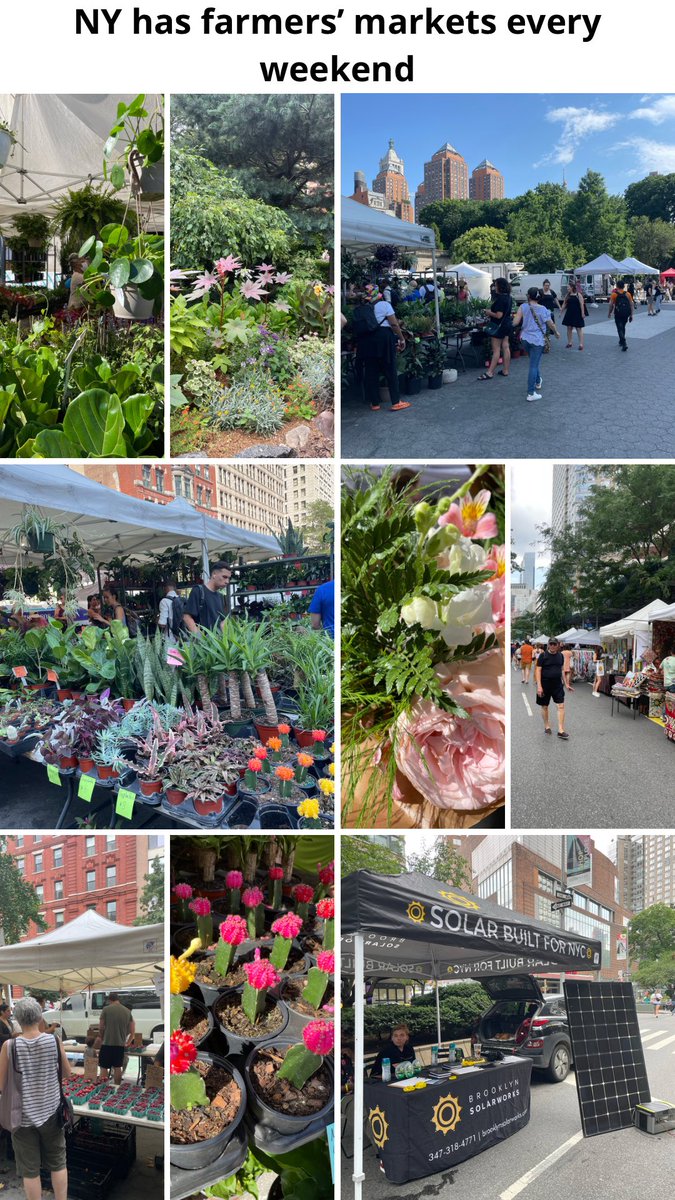 aces_unc's tweet photo. Hi, I’m Lizzie! This summer, I’m working in New York as a consulting intern at EY and also participating in BLiS. In this post, I’ll show you more about sustainability in NYC. https://t.co/wDOduO7qKF