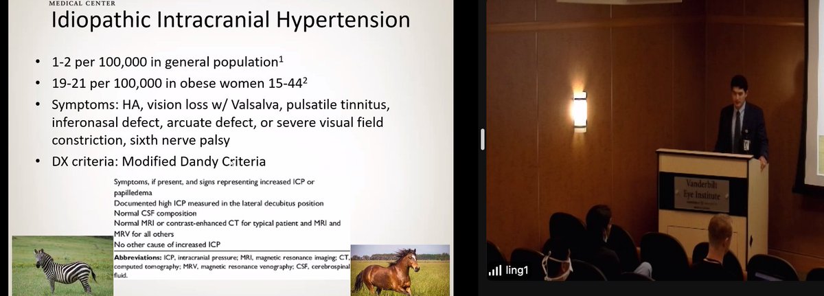 Janice Law (she/her/s) tweet media