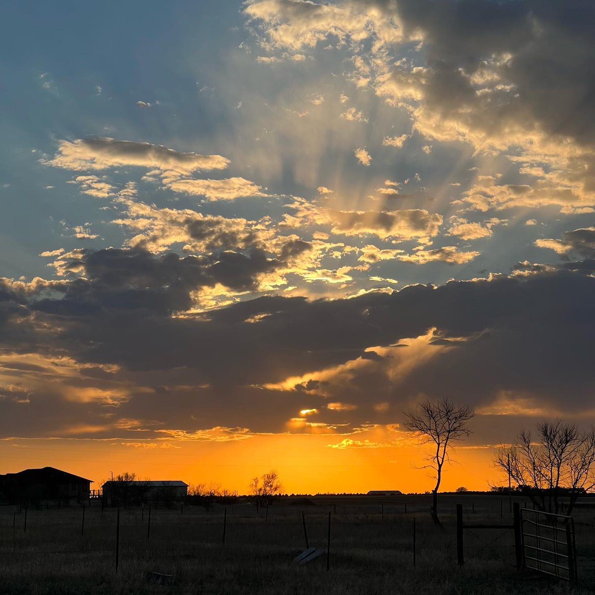 afkatm's tweet photo. Just another evening on the homestead. 

#sunset #nightfall #evening #homestead #homesteading #homesteadlife #homesteadersofinstagram #sunsetphotography https://t.co/m8wIEmzKs6