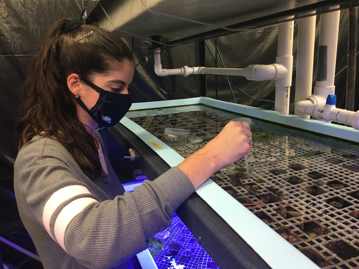 RIINBRE's tweet photo. Join us for the 2022 RI Summer Undergraduate Research Symposium on Friday, July 29th to view undergraduate students' research from Rhode Island institutions. 
Register: https://t.co/1nOodXBPEn 
#RIINBRE #RISURS #RIEPSCoR #URIMARCUSTAR #STEM #academicresearch #RIINBRESURF https://t.co/5dbBDQY9JG