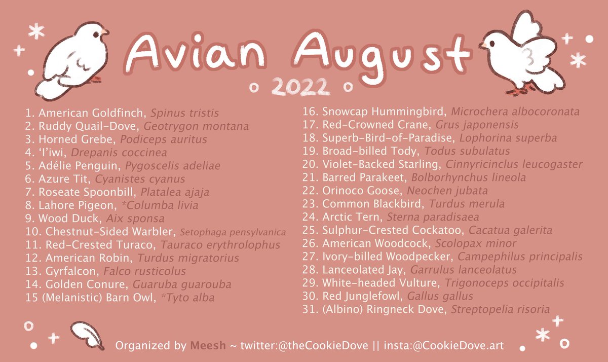 ✨ Hi friends, welcome to #AvianAugust2022!