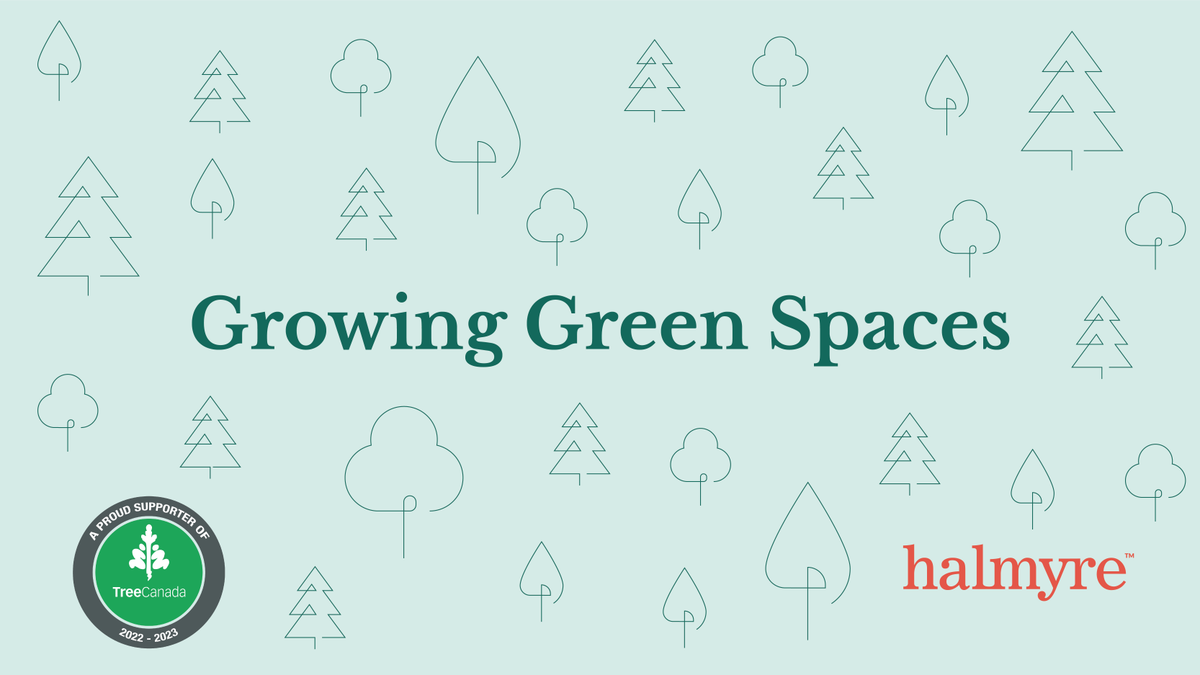 Halmyre | Your marketing strategy partners (@halmyretweets) on Twitter photo Thanks to everyone who made <a href="/CSAETrillium/">CSAE Trillium</a> CSAESummerSummit22 so special. To offset our carbon footprint, Halmyre is contributing towards the planting of 35 trees by <a href="/TreeCanada/">Tree Canada</a>. #trees #reforestation #environment #sustainability #treecanada #gratitude Thanks to everyone who made <a href="/CSAETrillium/">CSAE Trillium</a> CSAESummerSummit22 so special. To offset our carbon footprint, Halmyre is contributing towards the planting of 35 trees by <a href="/TreeCanada/">Tree Canada</a>. #trees #reforestation #environment #sustainability #treecanada #gratitude